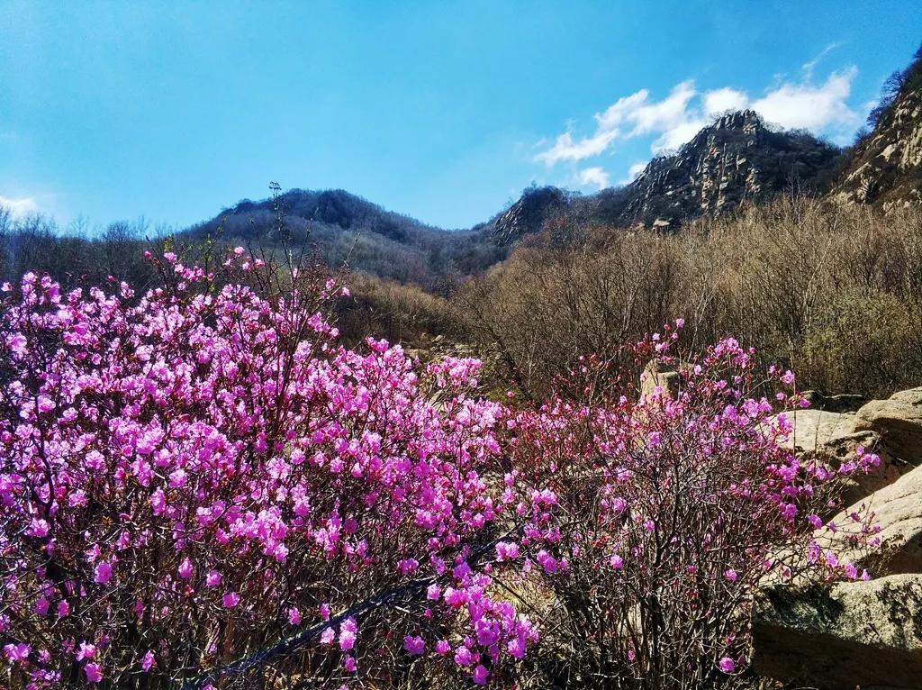 北京今日活力招聘盛宴，精彩职位等你来发现！