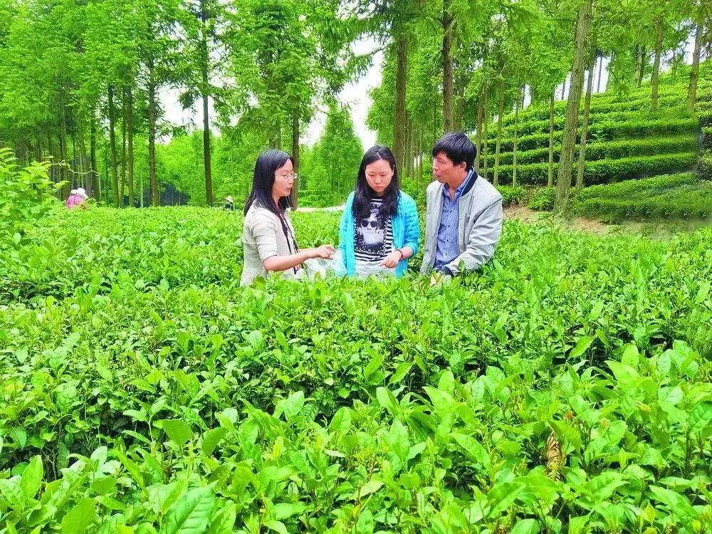 达州市人才市场招聘资讯速递——最新人才招聘动态一览